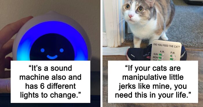 21 Renter-Approved Redos That’ll Upgrade Your Space Without The Landlord Drama