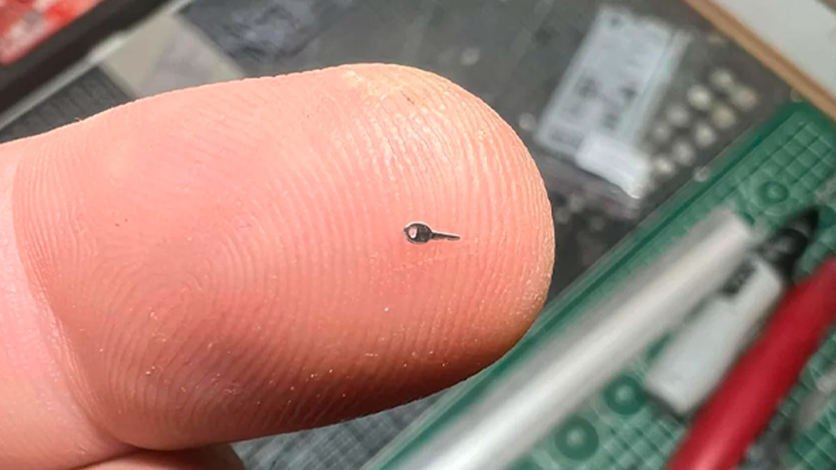“What Is This?”: 50 Times People Spotted Something So Small, They Just Had To Share