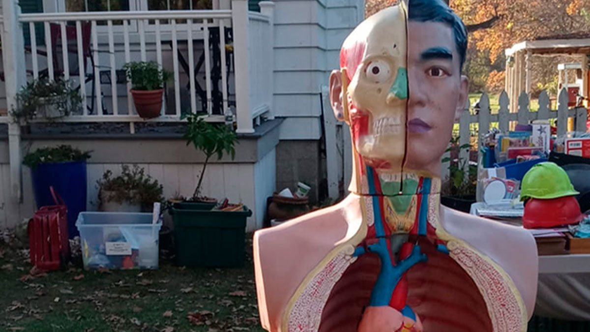 30 Times People Struck Gold When Shopping Secondhand