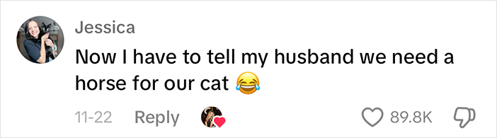 Adorably Cute Friendship Between A Cat And A Horse Is Melting Hearts All Over The Internet Adorably Cute Friendship Between A Cat And A Horse Is Melting Hearts All Over The Internet