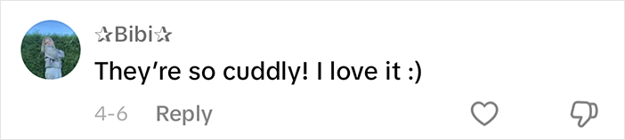 Comment from Bibi expressing love for cuddly sheep. Comment from Bibi expressing love for cuddly sheep.