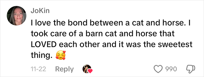 Adorably Cute Friendship Between A Cat And A Horse Is Melting Hearts All Over The Internet Adorably Cute Friendship Between A Cat And A Horse Is Melting Hearts All Over The Internet