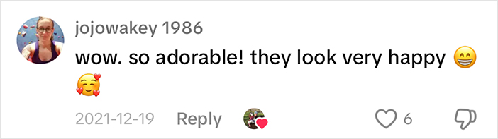 Comment about sheep being adorable and happy with heart and smile emoji on social media post. Comment about sheep being adorable and happy with heart and smile emoji on social media post.