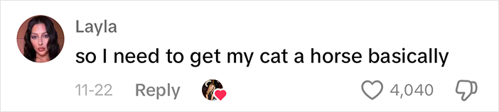 Adorably Cute Friendship Between A Cat And A Horse Is Melting Hearts All Over The Internet Adorably Cute Friendship Between A Cat And A Horse Is Melting Hearts All Over The Internet