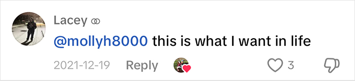 Comment screenshot with a username, date, and heart emoji, captioned about wanting something in life related to sheep. Comment screenshot with a username, date, and heart emoji, captioned about wanting something in life related to sheep.
