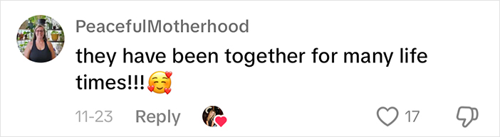 Adorably Cute Friendship Between A Cat And A Horse Is Melting Hearts All Over The Internet Adorably Cute Friendship Between A Cat And A Horse Is Melting Hearts All Over The Internet