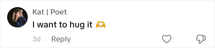 Comment from Kat Poet about sheep, saying they want to hug it, with a heart emoji reaction. Comment from Kat Poet about sheep, saying they want to hug it, with a heart emoji reaction.