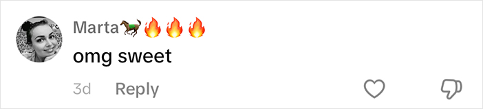 Comment from Marta with sheep and fire emojis saying "omg sweet" about a woman's sheep experience. Comment from Marta with sheep and fire emojis saying "omg sweet" about a woman's sheep experience.