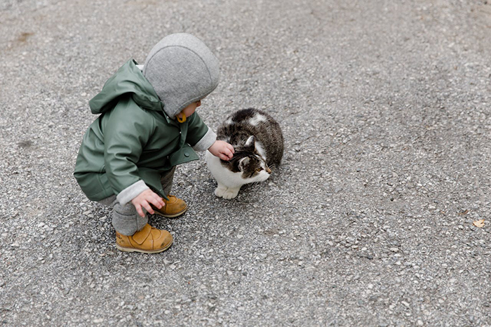 Toddler in green coat petting a cat, representing vegetarian mom's baby in a natural setting. Toddler in green coat petting a cat, representing vegetarian mom's baby in a natural setting.