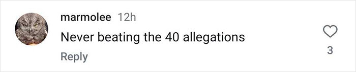 Instagram comment with a cat profile picture, joking about "never beating the 40 allegations", received three likes. Instagram comment with a cat profile picture, joking about "never beating the 40 allegations", received three likes.