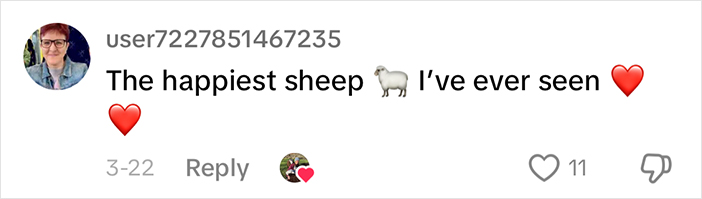 Comment reads: "The happiest sheep I've ever seen" with sheep and heart emojis. Comment reads: "The happiest sheep I've ever seen" with sheep and heart emojis.