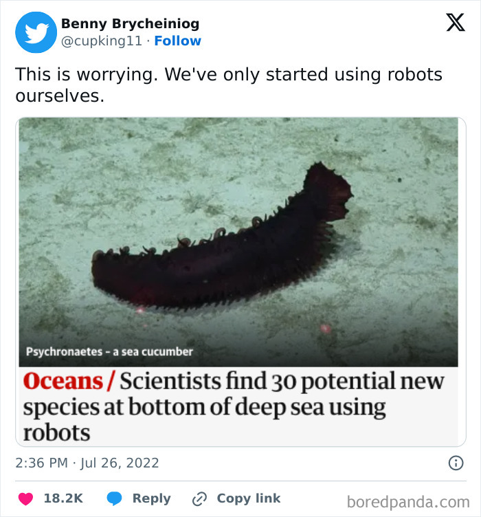 Science meme showing sea cucumber, text about finding new ocean species with robots at sea bottom.