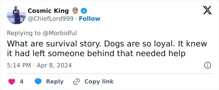 Real Life “Mowgli” Girl Who Defied All Odds In A Siberian Forest Has Hopes Of Becoming A Doctor Real Life “Mowgli” Girl Who Defied All Odds In A Siberian Forest Has Hopes Of Becoming A Doctor