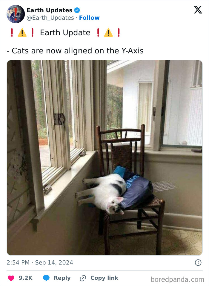 Cat humorously lying sideways on a chair, aligning with the Y-axis for a funny science meme.