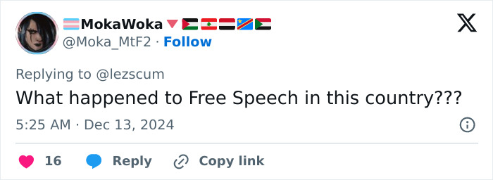 Social media post questioning free speech in the context of Briana Boston's arrest as a Luigi Mangione copycat. Social media post questioning free speech in the context of Briana Boston's arrest as a Luigi Mangione copycat.