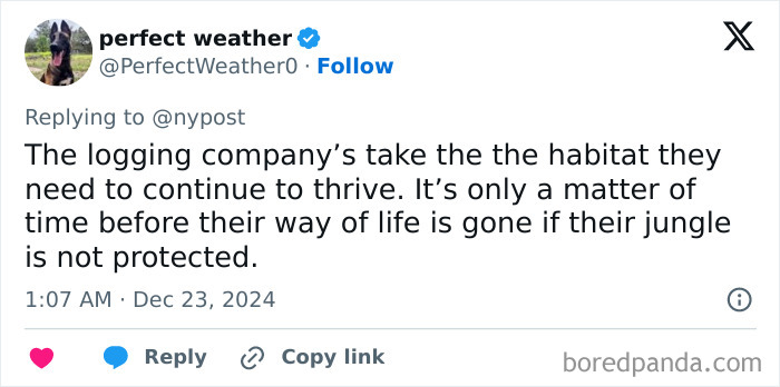 Never-Before-Seen Amazon Tribe Captured In Stunning First Glimpse: “Leave Them Alone” Never-Before-Seen Amazon Tribe Captured In Stunning First Glimpse: “Leave Them Alone”