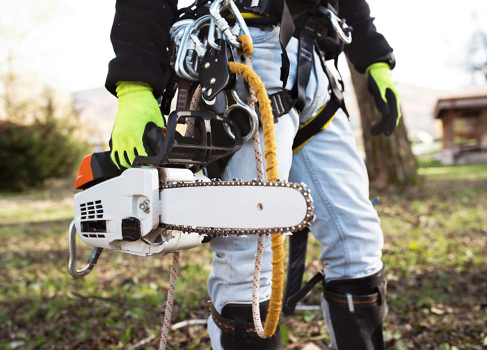 “I Told You So”: Dodgy Arborist Ignores Warning, Causes $300K Damage, Regrets It Fast “I Told You So”: Dodgy Arborist Ignores Warning, Causes $300K Damage, Regrets It Fast