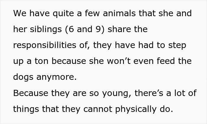Text describing family responsibilities and chores shared by siblings. Text describing family responsibilities and chores shared by siblings.