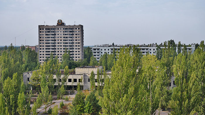 Abandoned buildings in Chornobyl surrounded by trees, highlighting genetically different dogs in the area. Abandoned buildings in Chornobyl surrounded by trees, highlighting genetically different dogs in the area.