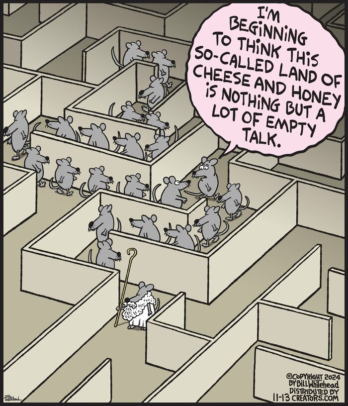 47 Funny One-Panel Comics By Bill Whitehead For A Quick Laugh (New Pics)