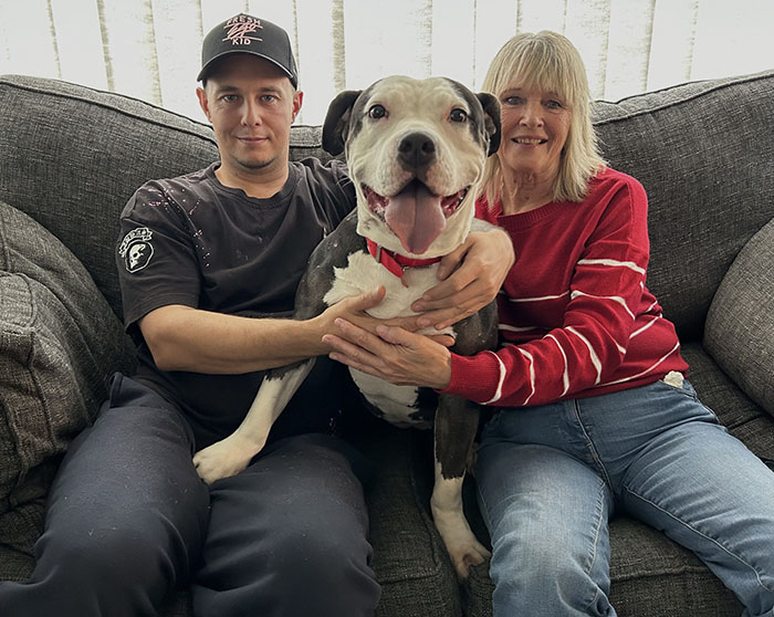 A rescued dog sits happily on a couch with two people, ready to celebrate Christmas in her new fur-ever home. A rescued dog sits happily on a couch with two people, ready to celebrate Christmas in her new fur-ever home.