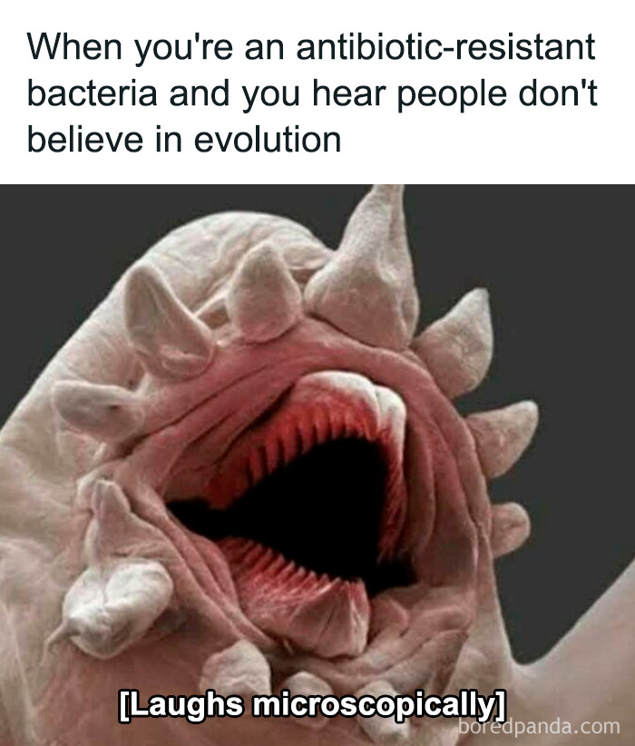 Close-up of a microscopic creature with humorous text about antibiotic resistance, part of science memes.