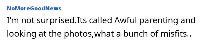 Comment criticizing "awful parenting," referencing a situation with misfits in photos. Comment criticizing "awful parenting," referencing a situation with misfits in photos.
