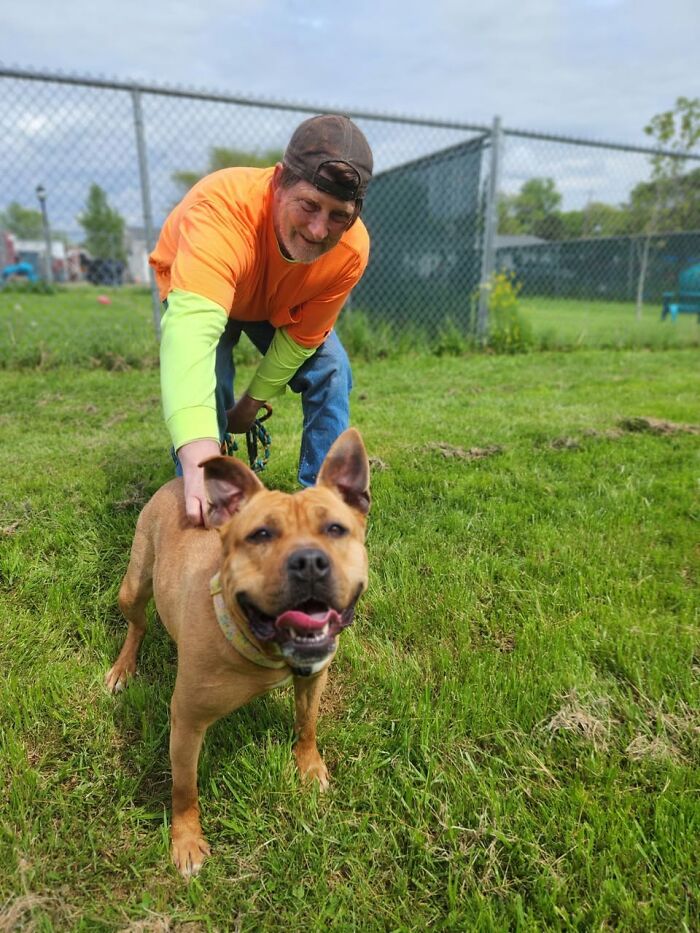 A happy dog with her new friend, enjoying the outdoors after a year in the shelter. A happy dog with her new friend, enjoying the outdoors after a year in the shelter.