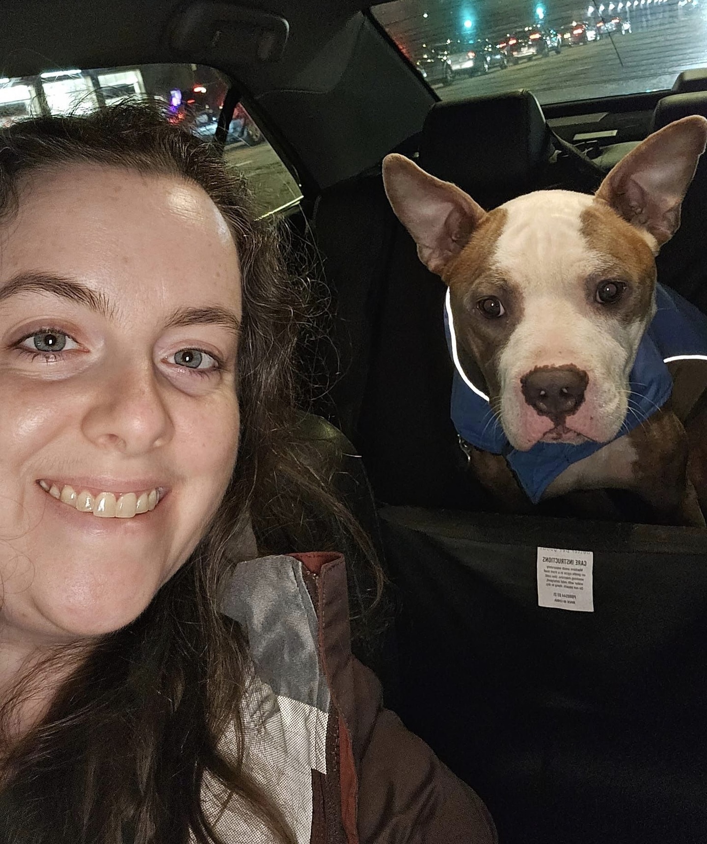 Abandoned Dog Spotted Shivering On A Chicago Bus Bench Finally Gets Help Abandoned Dog Spotted Shivering On A Chicago Bus Bench Finally Gets Help