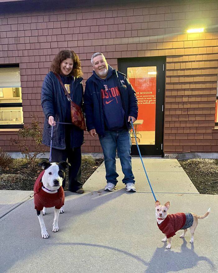 Two different dogs at a shelter forming a bond, each held by a smiling person. Two different dogs at a shelter forming a bond, each held by a smiling person.