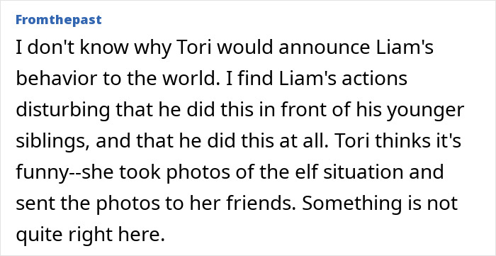 Screenshot of a comment criticizing Tori Spelling's reaction to son's elf display. Screenshot of a comment criticizing Tori Spelling's reaction to son's elf display.