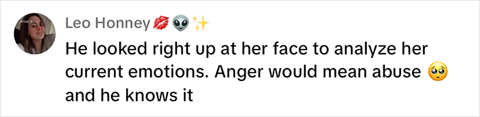 Comment discussing emotions and concerns about potential abuse, related to a viral momfluencer controversy. Comment discussing emotions and concerns about potential abuse, related to a viral momfluencer controversy.