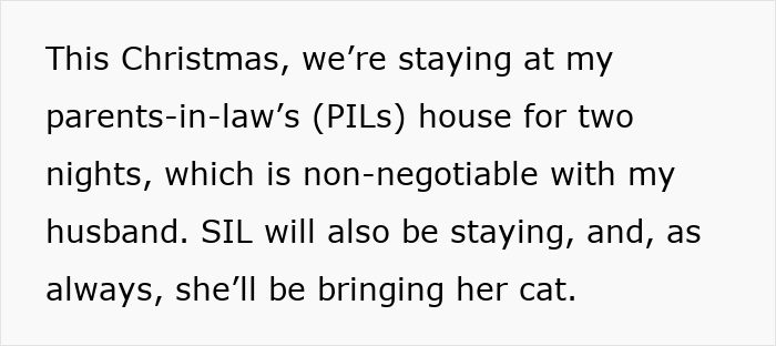 Woman Asks, "AIBU To Expect My SIL To Keep Her Aggressive Cat Away During Xmas?" Woman Asks, "AIBU To Expect My SIL To Keep Her Aggressive Cat Away During Xmas?"