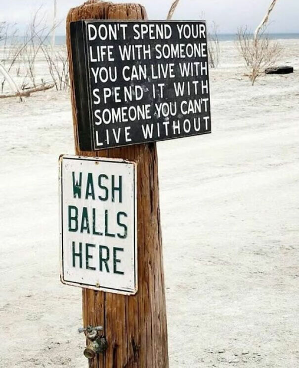 Weird and absurd signs on wooden post: "Don't spend your life..." and "Wash balls here" in a barren setting.