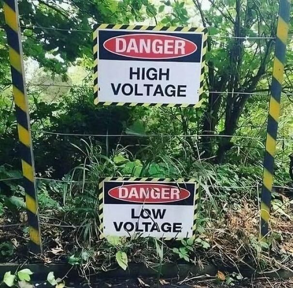 Weird and absurd signs with "Danger High Voltage" and "Danger Low Voltage" warnings in a forest setting.