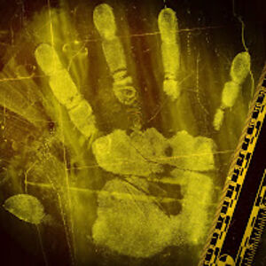 samanthaleach_2 avatar