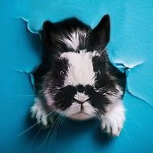 joemaniophoto avatar