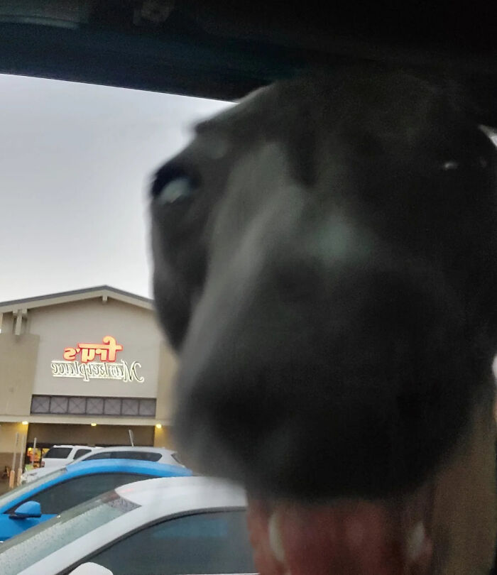 She Was Sucking Out My Soul (I Didn't Survive)