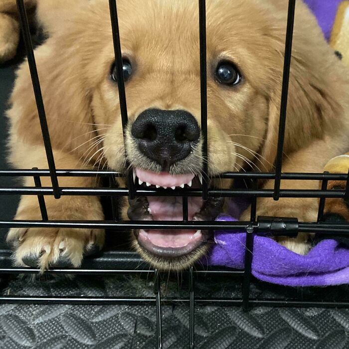 She’s Young But She’s Got The Spirit