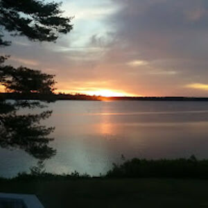 jerrycinnamon avatar