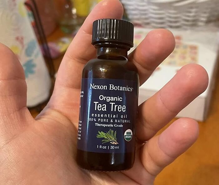 Hand holding a bottle of organic tea tree essential oil, a thoughtful gift for teachers.