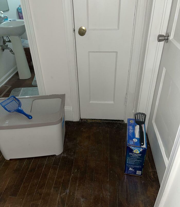 Cat litter box and cleaning supplies blocking a bathroom door, illustrating issues with infuriating family members.
