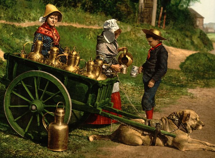 Historic color photo showing people and a dog with a milk cart, depicting life 100 years ago.