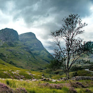 elliemagoffin avatar