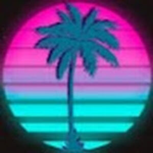 dirkvantroyen avatar