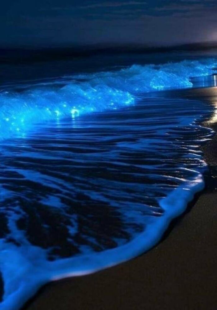 Bioluminescent waves glowing on the shore at night, showcasing fascinating natural beauty.