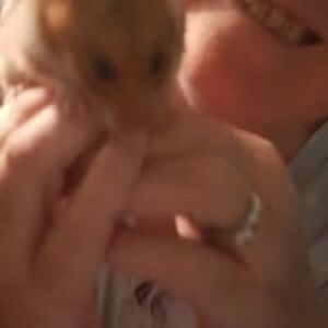 nikki1abbey2dustin3oreo4 avatar