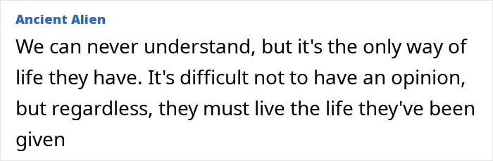 Speculation Surrounds Abby and Brittany Hensel After Unusual Video Emerges Speculation Surrounds Abby and Brittany Hensel After Unusual Video Emerges