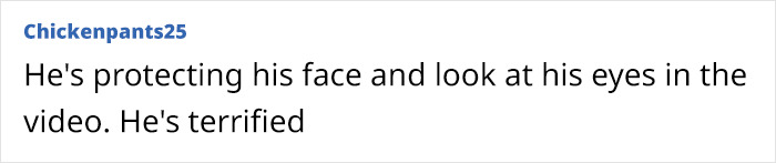 Comment says, "He's protecting his face and look at his eyes in the video. He's terrified," highlighting a viral moment. Comment says, "He's protecting his face and look at his eyes in the video. He's terrified," highlighting a viral moment.