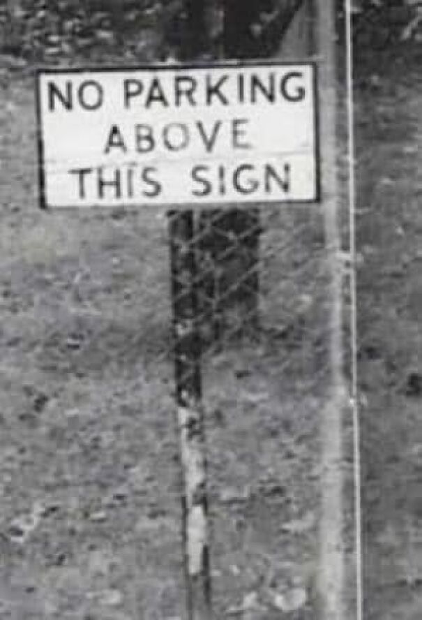 Weird sign reading "No Parking Above This Sign" on a pole in a grassy area.